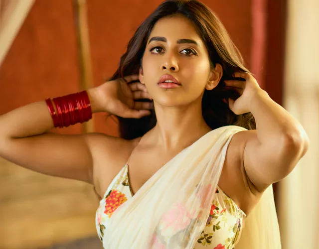 Nabha Natesh White Saree Photos